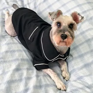 英倫風寵物外套 加厚羊羔毛寵物衣服 狗狗保暖衣 狗狗衣服 狗衣服 貓咪衣服  寵物保暖衣 泰迪法鬥 防風防寒保暖 歷史價格詳細信息