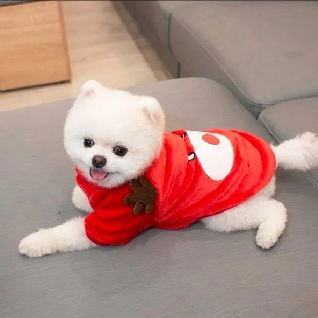 寵物衣服 四腳法蘭絨保暖衣 秋冬四腳衣 小型犬衣服 貓衣服 現貨 歷史價格詳細信息