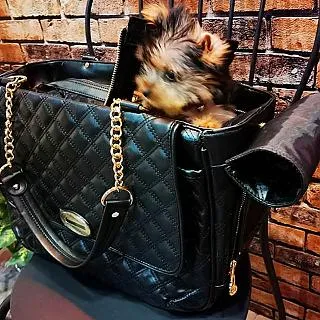 【May shop】貓窩寵物行軍床離地床四季通用可拆洗寵物床狗窩 歷史價格詳細信息