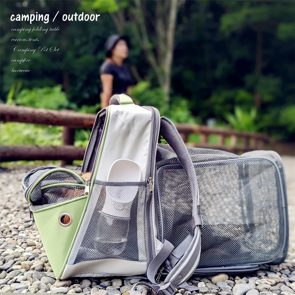 亞馬遜賣寵物橡膠TPR網球耐咬磨狗玩具寵物用品陪伴互動 歷史價格詳細信息