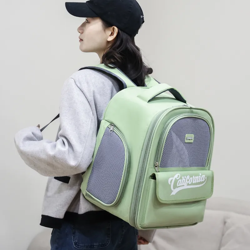 6015美耐皿托盤-紅色 歷史價格詳細信息