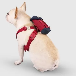 斯普尼克SPUTNIK-EXPLORE/寵物牽繩Leash紅色M 歷史價格詳細信息