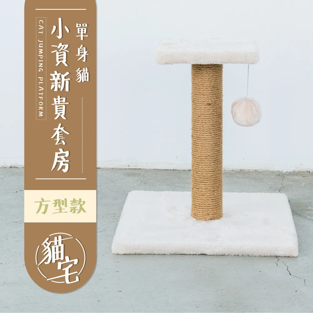 單身貓小資雅痞套房[圓型款] / 貓跳台 歷史價格詳細信息