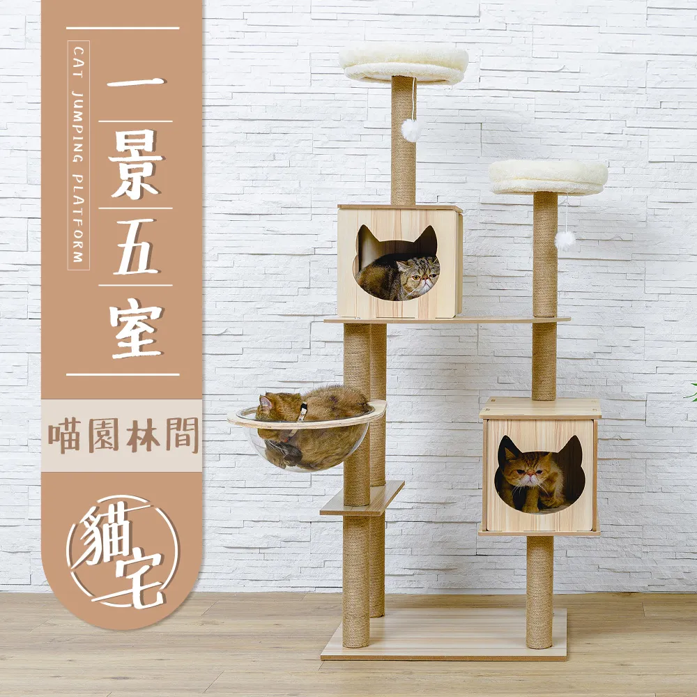 宅間食品 無籽梅乾 50g / 特厚無籽梅乾 100g 歷史價格詳細信息