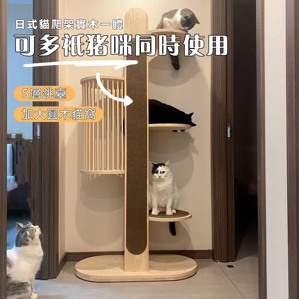 YIJIE 晨曦 貓抓布單人折疊沙發床 沙發兩用 歷史價格詳細信息