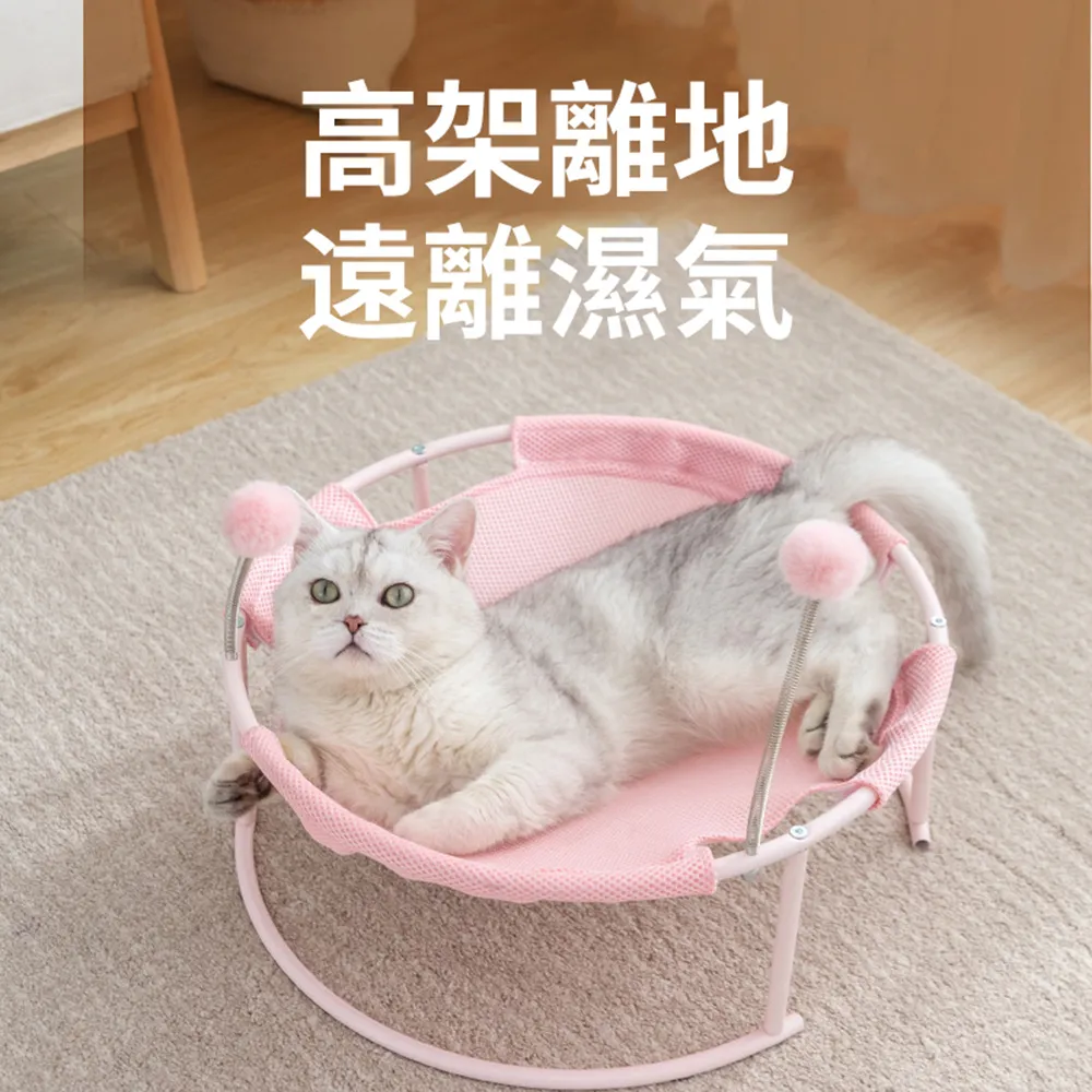 蹦蹦跳 寵物家庭用/植萃泡沫洗碗精 500ml X2瓶組 -Made in Taiwan 歷史價格詳細信息