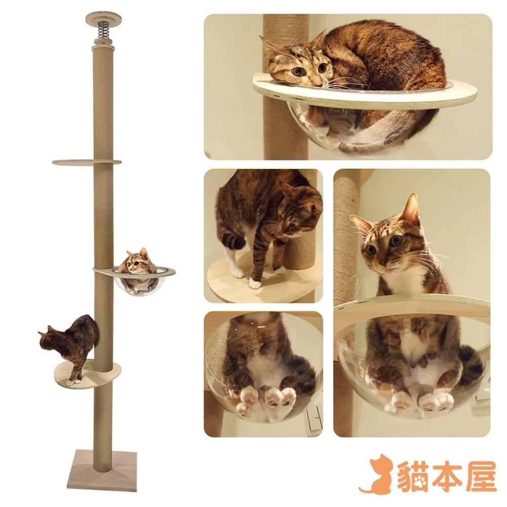 貓本屋 太空艙 四層貓跳台 125cm 【限時下殺、現貨】 太空艙跳台 穩固結實 貓跳台 貓爬架 貓抓柱 貓樹 跳台 歷史價格詳細信息