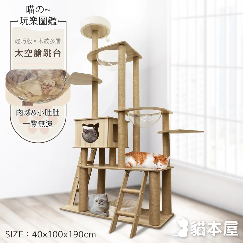 貓本屋 雙面使用 寵物涼蓆墊(L號/75x60cm) 歷史價格詳細信息