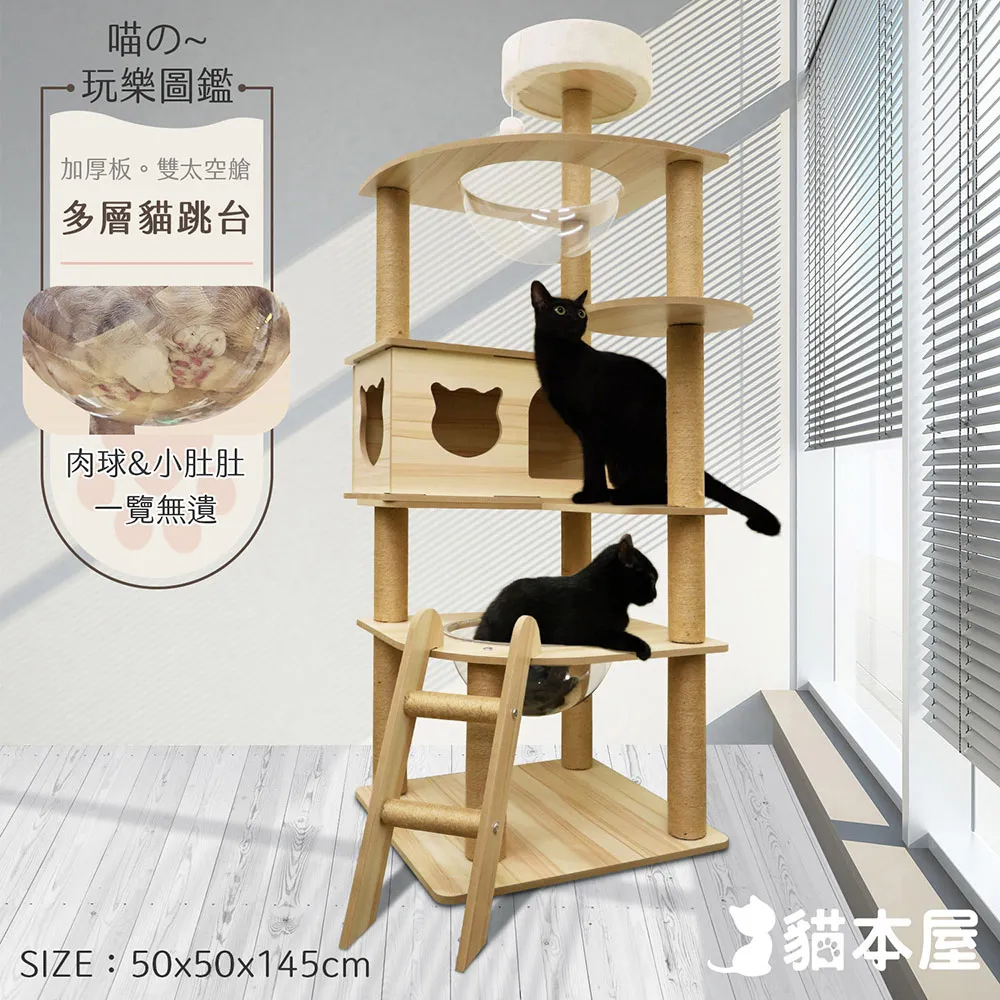 貓本屋 雙面使用 寵物涼蓆墊(L號/75x60cm) 歷史價格詳細信息