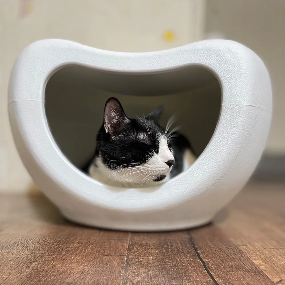 【愛而富L&R】寵物透氣飛行床 M號 透氣吊床 高架床 歷史價格詳細信息