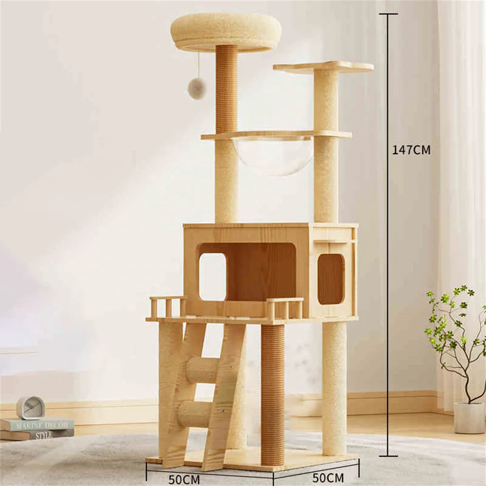 貓咪占星指南：一次搞懂貓咪星座宮位、上升與月亮，用占星學找到與主子幸福共生的最佳方案【左西】 歷史價格詳細信息