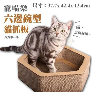 【貓抓板】水果圓盤貓抓板 歷史價格詳細信息