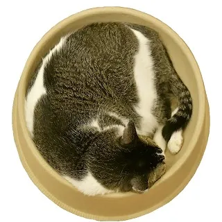 【3入裝】國際洗衣機通用濾網 歷史價格詳細信息