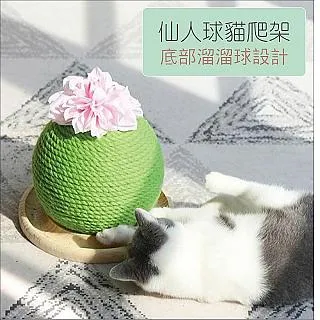 仙人掌貓抓板(大、中) 超大圓餅貓抓盆 貓抓碗 貓抓窩 貓碗 貓抓屋 貓窩 睡窩 貓抓盆 貓抓床 現貨 廠商直送 歷史價格詳細信息