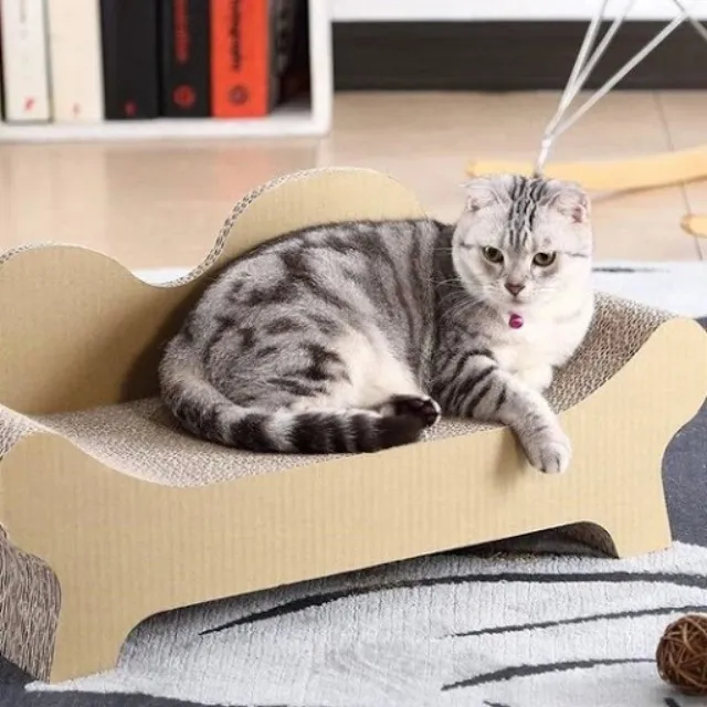 貓抓板 超耐抓 圓型 貓抓窩 貓窩 貓抓板 貓睡床 櫻花圓形貓抓板 大理石貓抓窩 貓磨爪 貓抓盆 歷史價格詳細信息