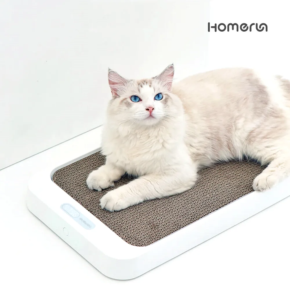 Homerun 魔板貓抓板寵物秤 寵物體重計 貓抓板 寵物秤 體重計 二合一 可替換抓板 體重計 貓咪 寵物 量體重 歷史價格詳細信息