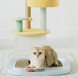 【Nice U】沙漠綠洲 仙人掌貓爬架 歷史價格詳細信息