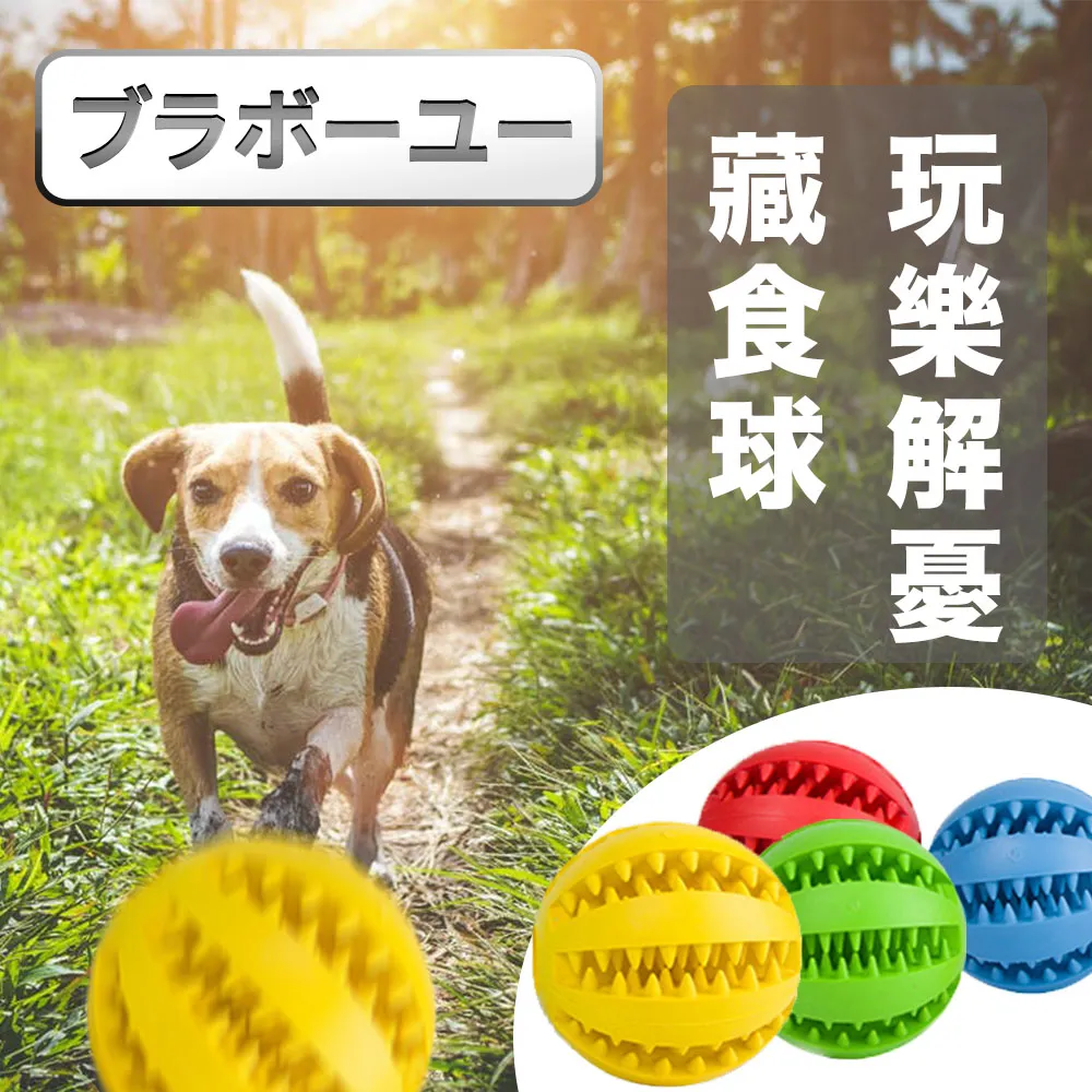 寵物無毒材質 AFP 犬用玩具-清涼系列 寵物玩具 狗玩具 狗狗玩具 寵物運動 寵物遊玩 鯊魚玩具 海龜玩具 玩具 歷史價格詳細信息