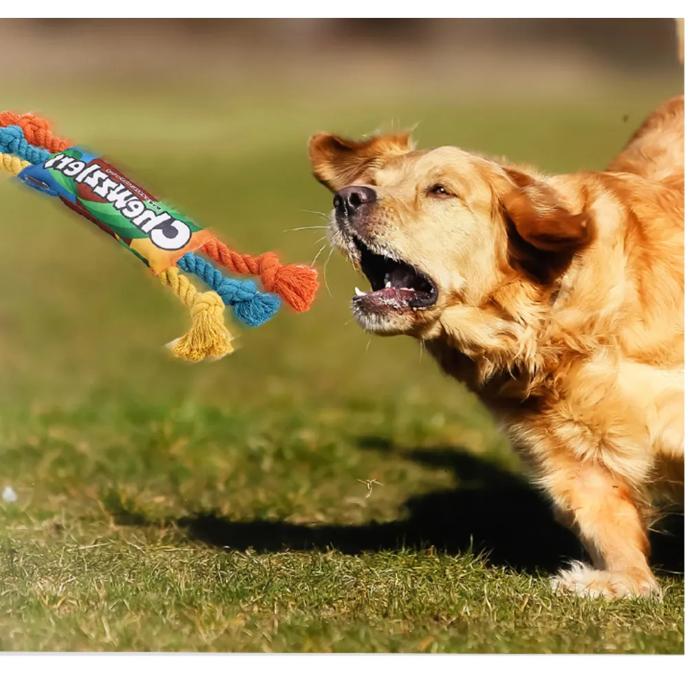 May shop【112110309】多功能 登山自助旅行 旅遊後背包 歷史價格詳細信息