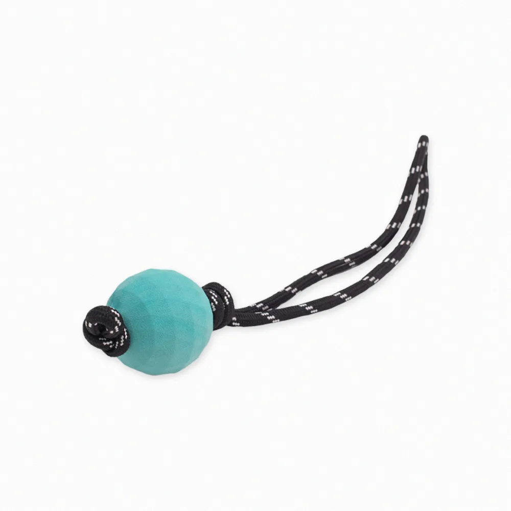 寵物互動拉扯潔齒玩具 發聲玩具 牛，熊，猴子造型玩具 歷史價格詳細信息