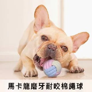狗狗玩具馬卡龍鈴鐺球中小型泰迪發聲球大型犬金毛耐咬 歷史價格詳細信息