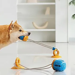 寵物愛家 狗狗玩具磨牙潔齒用品狗狗繞繩啃咬球寵物用品 歷史價格詳細信息