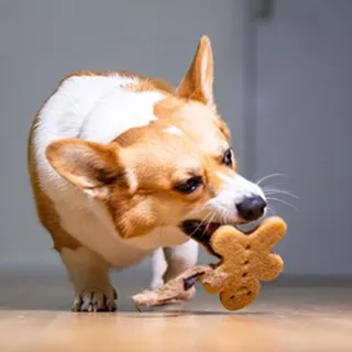 橡牙果平安扣，內徑：0.4cm，外徑：2.5cm，厚：1 -2127 歷史價格詳細信息