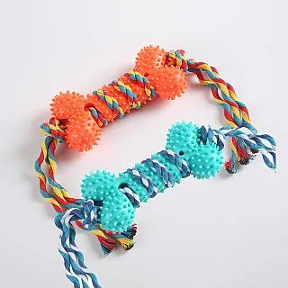 【寵物愛家】寵物用品開窗式戶外出遊貓籠手提貓寶車載寵物籠子航空箱 歷史價格詳細信息