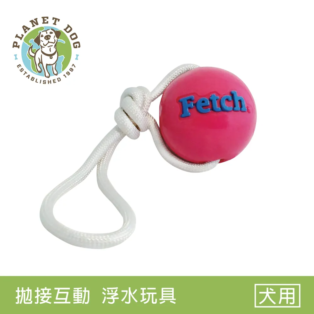 Planet Dog 互動益智球（3色)/藏食玩具/無毒材質/清洗方便/迷宮設計/適合中大型犬(顏色隨機出貨) 歷史價格詳細信息