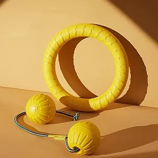 【寵物愛家】EVA夜間反光外出寵物牽繩(寵物外出用品) 歷史價格詳細信息