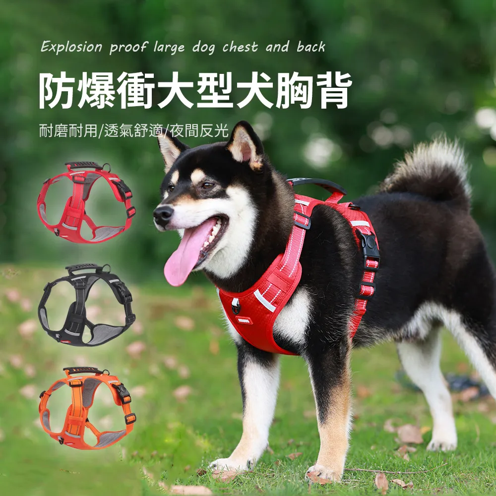 5M狗狗牽引繩可調整狗鏈防爆衝自動伸縮牽狗繩喵咪繩3M 歷史價格詳細信息