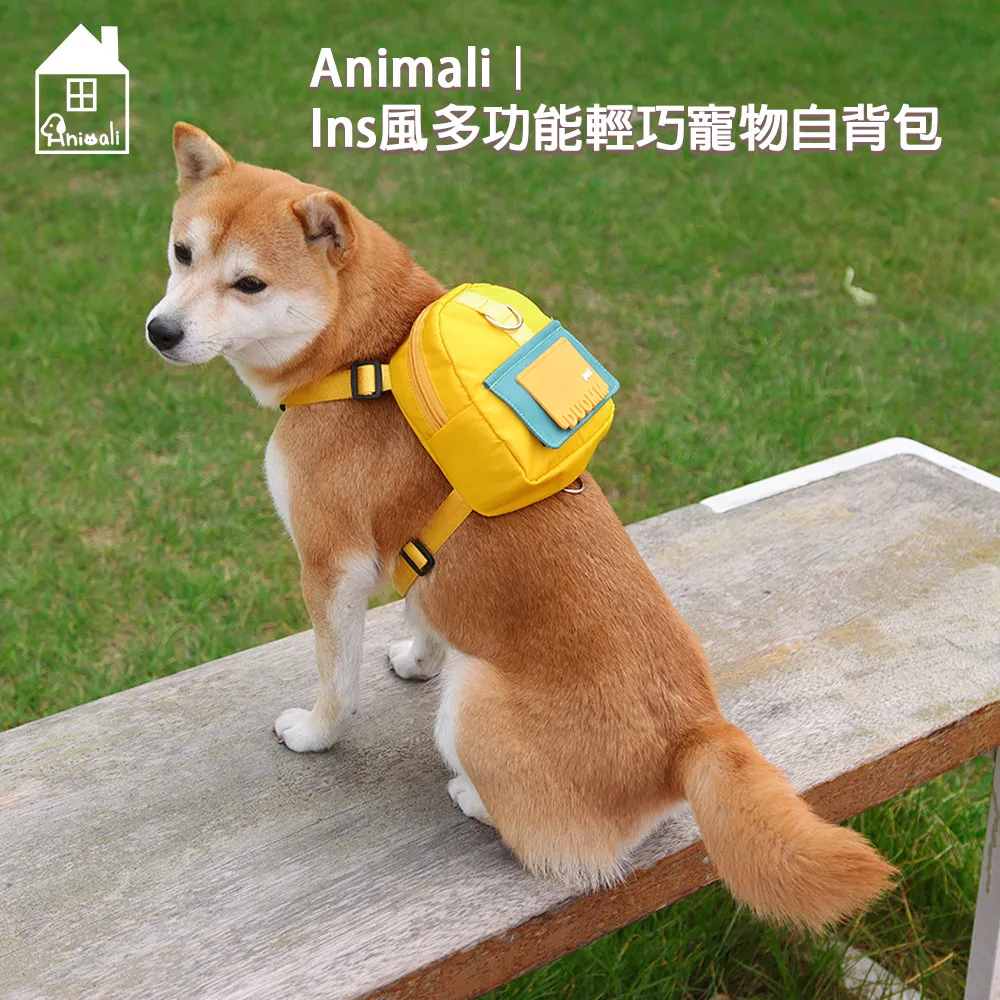 Animali｜防塵防水兩穿護頸式防舔咬頭套小兔款S 歷史價格詳細信息
