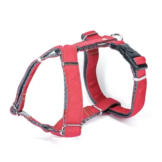 ppark 牛仔布-貓項圈 (安全插扣) 歷史價格詳細信息