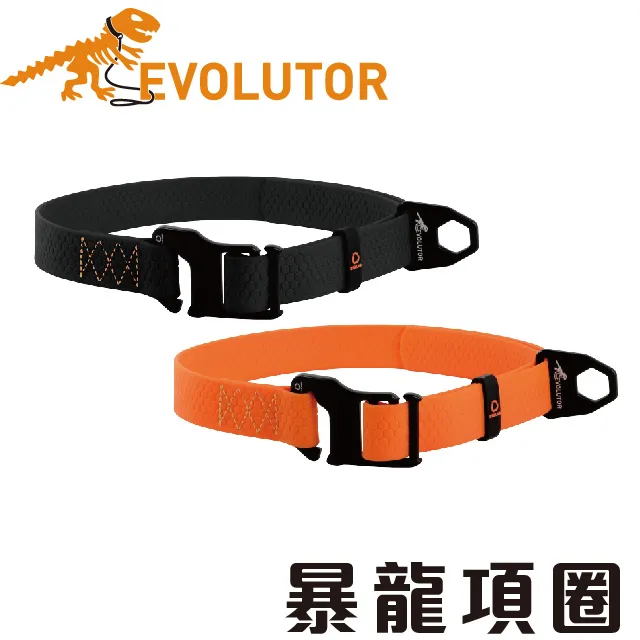 烏克蘭製 30mm 1-f3.5 高品質狀態新 120中片幅魚眼鏡頭 歷史價格詳細信息