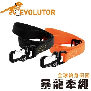 烏克蘭製 30mm 1-f3.5 高品質狀態新 120中片幅魚眼鏡頭 歷史價格詳細信息