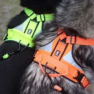 芬蘭 Hurtta 全防護Mudventure機能防水風雨衣ECO/ 檜木橘,孔雀藍綠/ 55 60 歷史價格詳細信息