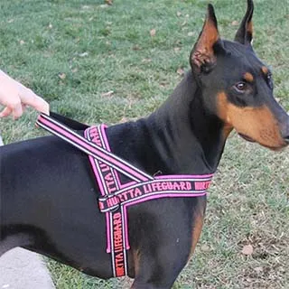 芬蘭 Hurtta 經典Weekend Warrior胸背帶 /寶石紅,孔雀藍綠,狼棕/ 80-100 歷史價格詳細信息