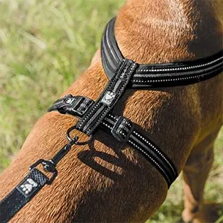 芬蘭 Hurtta 納維亞Y字型胸背 Padded Y-Harness_80_三色可選 歷史價格詳細信息