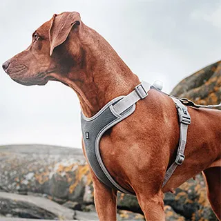 芬蘭 Hurtta 全防護Mudventure機能防水風雨衣ECO/ 檜木橘,孔雀藍綠/ 55 60 歷史價格詳細信息