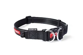【EZYDOG】雙環項圈 寵物項圈 犬用 項圈 頸圈 S-XL 外出用品－寵物執行長 歷史價格詳細信息
