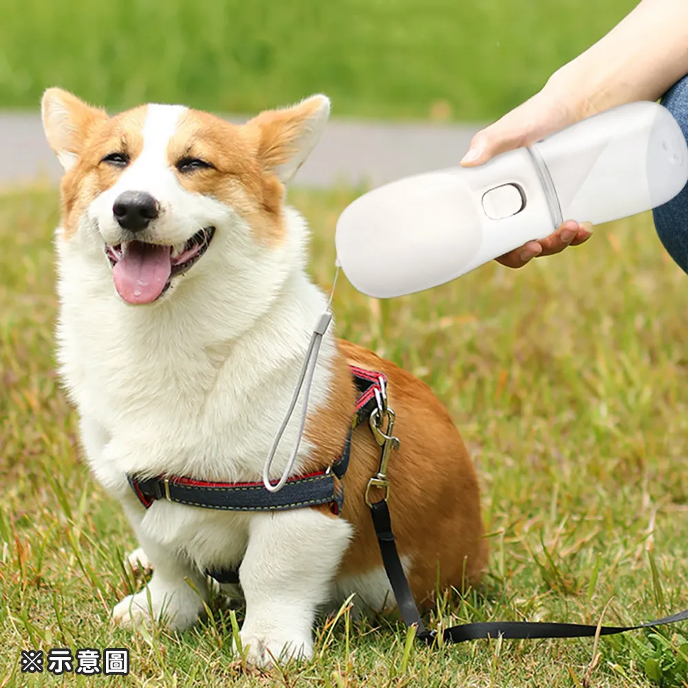 OPretty 歐沛媞 Petsall 寵物時尚造型眼鏡2入-(小花)(8.2X4X7.3cm)-多色可選 歷史價格詳細信息