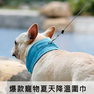 狗狗涼感圍脖 降溫圍脖 夏季清涼寵物圍巾 涼爽圍脖 貓狗圍巾 寵物清涼圍脖 防中暑 狗狗冰涼圍巾 寵物降溫用品 戶外消暑 歷史價格詳細信息
