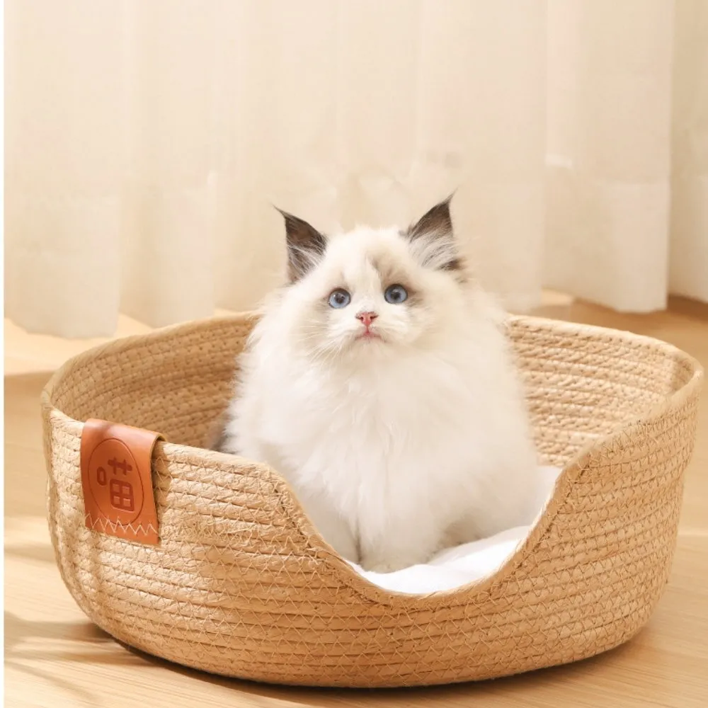 【WAWAWA】日韓可愛恐龍造型保暖法蘭絨便攜式捲毯/空調毯/沙發毯 歷史價格詳細信息