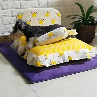 【May shop】貓窩寵物行軍床離地床四季通用可拆洗寵物床狗窩 歷史價格詳細信息