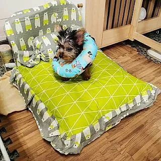 【May shop】貓窩寵物行軍床離地床四季通用可拆洗寵物床狗窩 歷史價格詳細信息