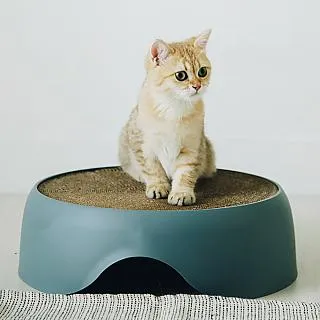 【Nice U】沙漠綠洲 仙人掌貓爬架 歷史價格詳細信息