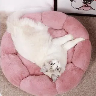 【珍愛頌】LF005 寵物胸背帶 歷史價格詳細信息