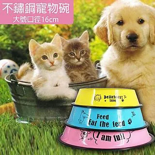 艾寵樂 貓狗伊莉莎白寵物頭套 貓狗圍脖頸圈 L號 歷史價格詳細信息