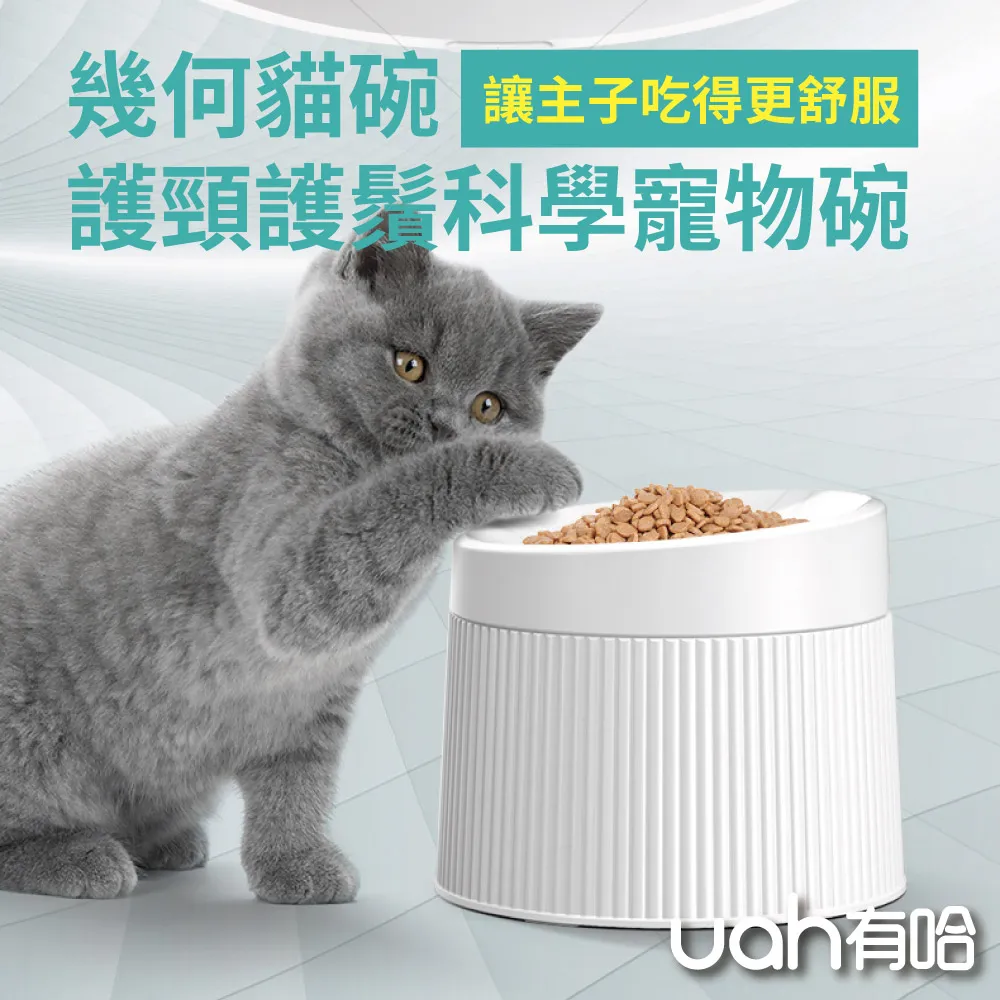 幾何／貓咪／星星 造型美妝蛋收納架(1入) 款式可選【小三美日】DS013676 歷史價格詳細信息