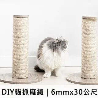 亞馬遜賣寵物橡膠TPR網球耐咬磨狗玩具寵物用品陪伴互動 歷史價格詳細信息